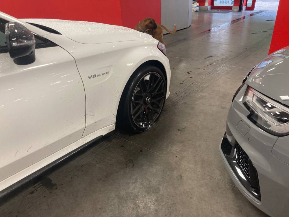 Mercedes C63S